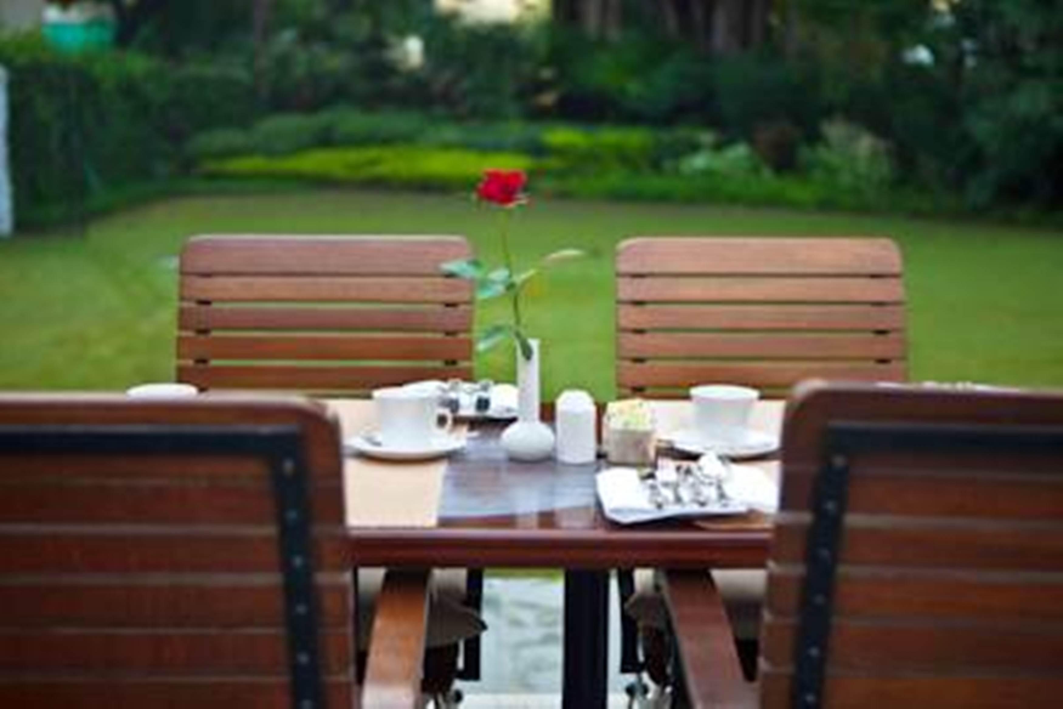 Maidens Hotel New Delhi Bagian luar foto The lawn at the hotel